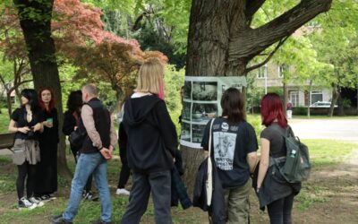 Interkulturalnost u povojima